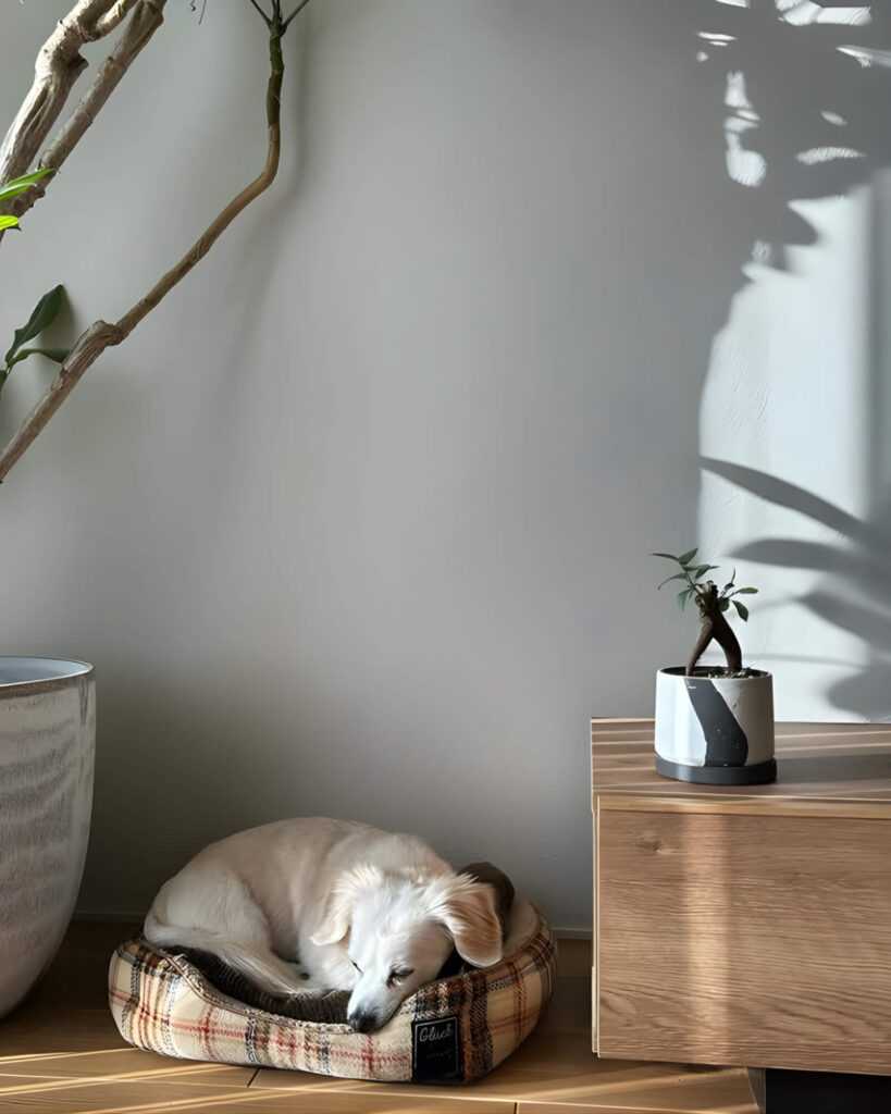 ▲温かな家は、わんちゃんにとっても心地よい空間。
