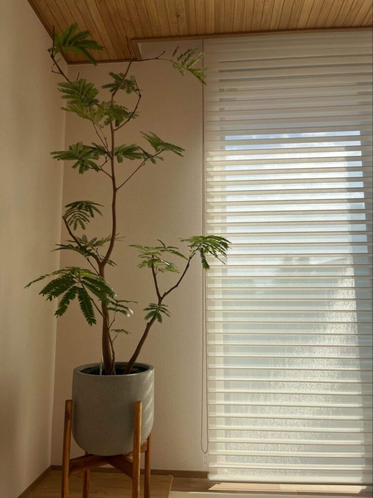 ▲住友林業らしい木の息遣いが、あちらこちらで感じられるKさん宅。
