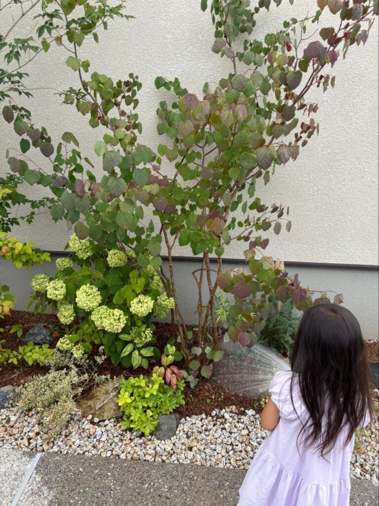 ▲さまざまな植栽。多忙なご主人に代わり、水やりは奥さまが担当することが多いそう。

