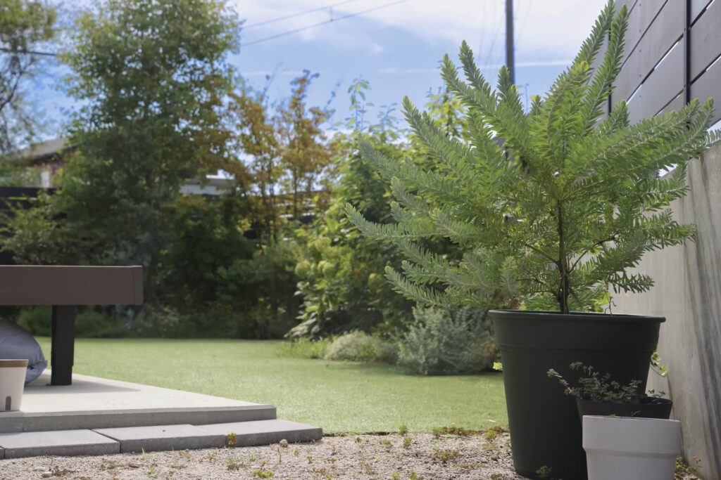 外構のイメージ