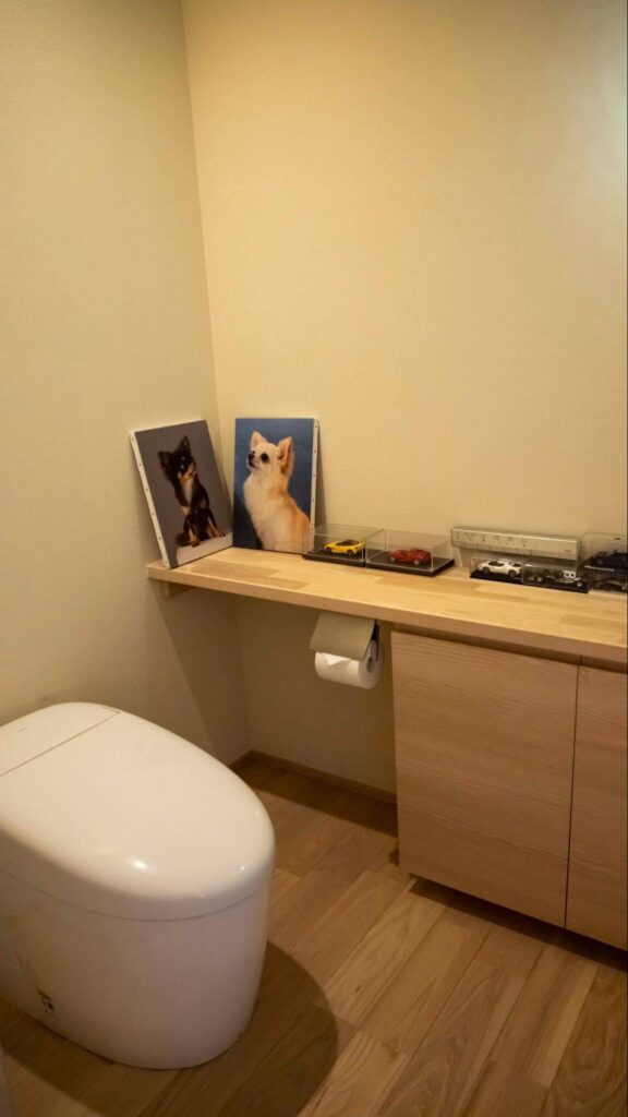 こちらは、木のぬくもりを感じるナチュラルテイストのトイレの実例です。トイレ本体はオプション仕様のNJシリーズを採用。コロンと丸みのあるフォルムと木製カウンターが、トイレ空間に穏やかさを演出しています。
